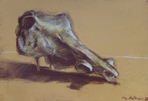 DSC07711